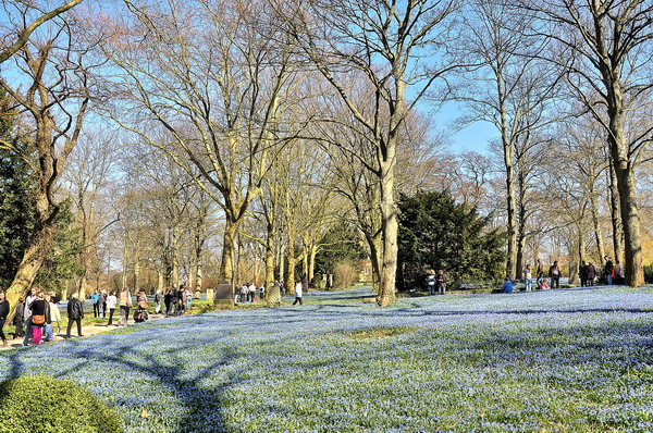 Fruehling2012   048.jpg